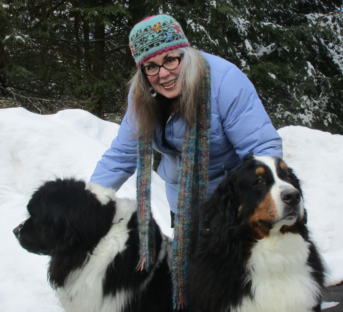 Gwendolyn Evans with her Newfoundland and Bernese Mountain Dog