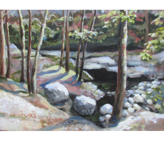 Dunnfield Creek, Along the Appalachian Trail