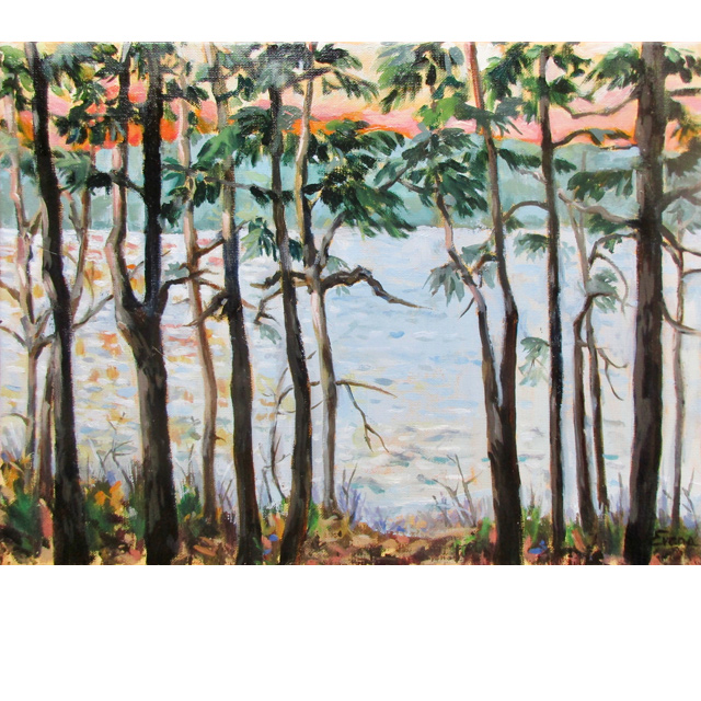 Damariscotta View at Sunset